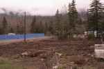 Site viewed from the SE.