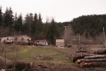 View from site to the N.